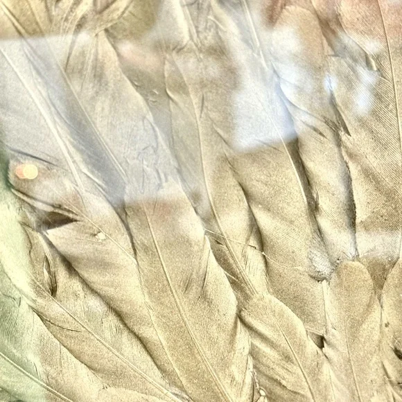 Prof Framed Angel Wings Wall Art Made From Gold Dyed Feathers - 16” x 20” - Picture 2 of 5